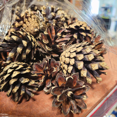 Сухие сосновые шишки для растопки (0,8 кг) 360