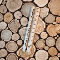 Термометр малый ТБС-41 250