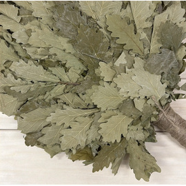 Веник дуб ("работный") 