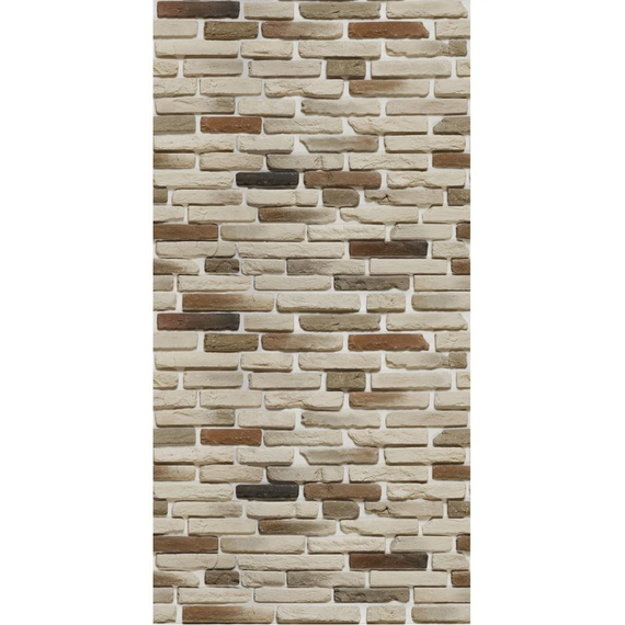 Плита Flamma Design с сюжетом "Прага 085" ПРОФИ 1,2*0,8 м (Вертикаль) 5520