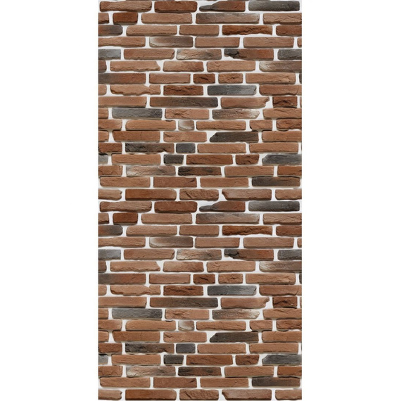 Плита Фламма Дизайн с сюжетом "Прага 088" (1200х600х8 мм) 4300