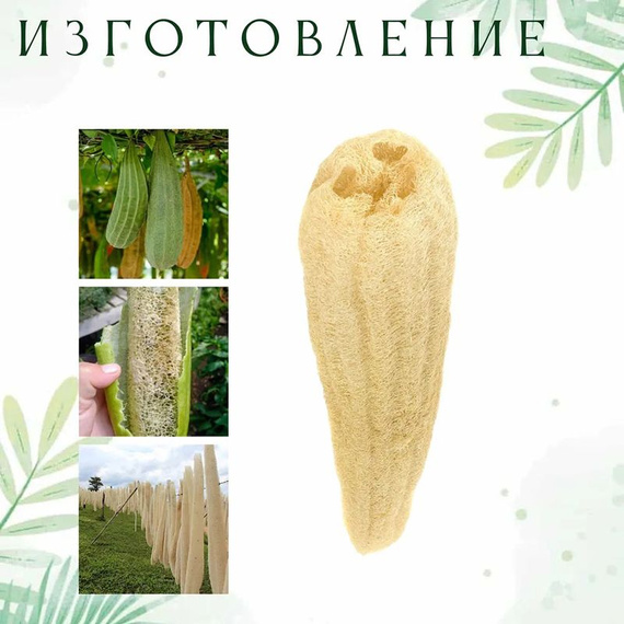 Мочалка натуральная из люффы, 30-40 см 220